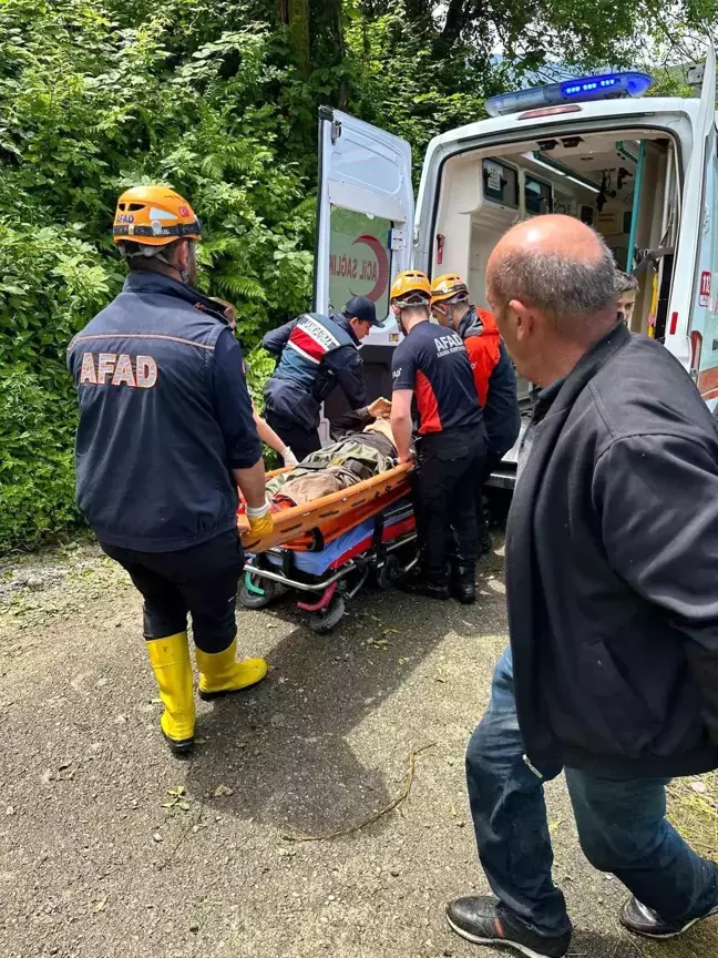 Rize'de ağaç keserken yaralanan vatandaş kurtarıldı