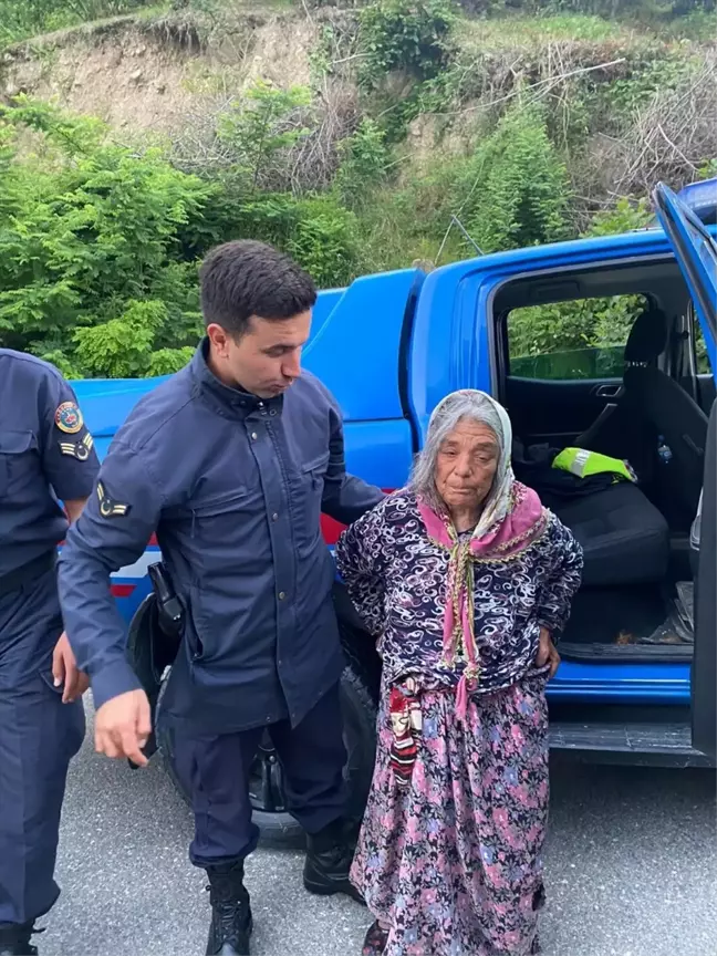 Ordu'da kaybolan Alzheimer hastaları sağ bulundu