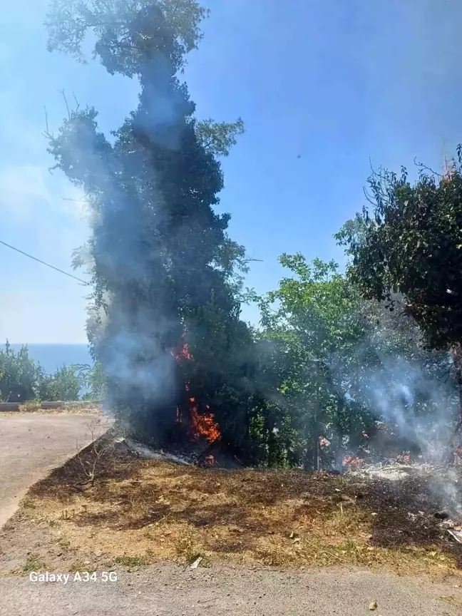 Zonguldak'ta Anız Yangınına Ekipler Müdahale Etti