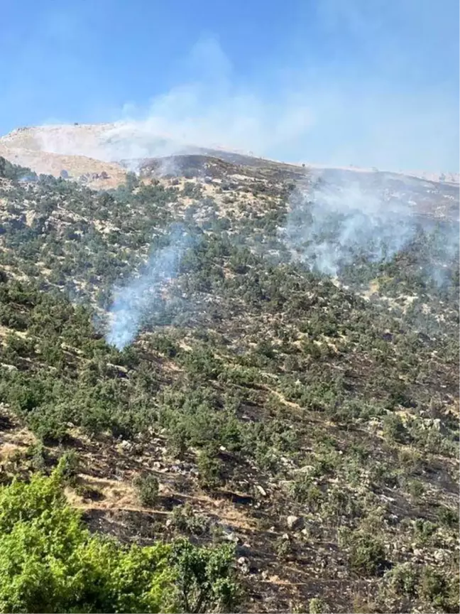 Siirt'te çıkan orman yangını kontrol altına alındı