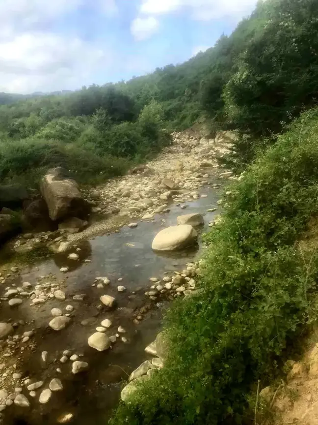 Sakarya'da Balık Tutarken Taşa Sıkışan Adam Boğularak Hayatını Kaybetti