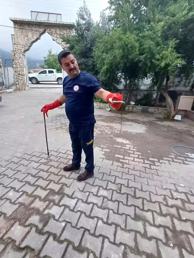 Belen'deki kız öğrenci yurduna yılan girdi