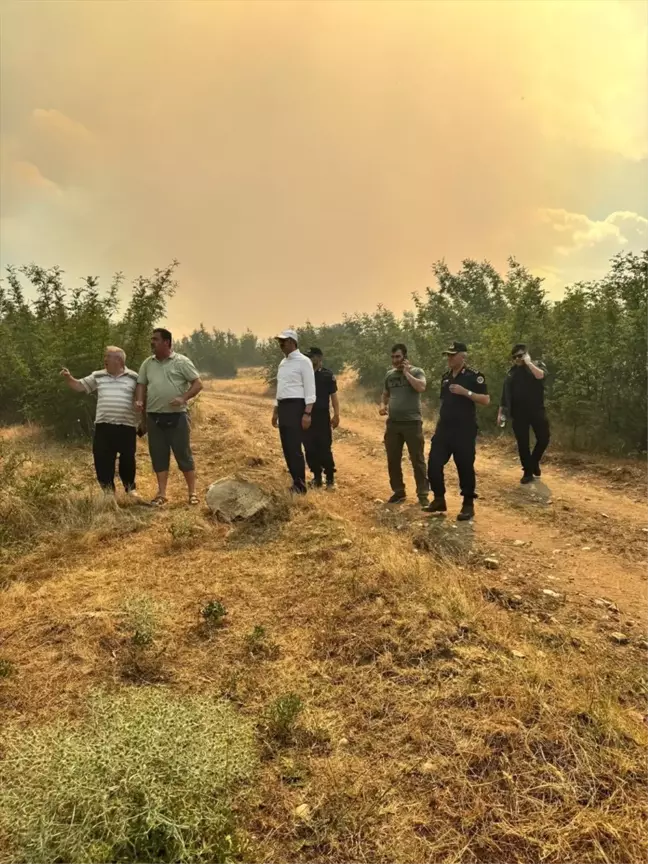 Edirne'de çıkan yangın kontrol altına alındı