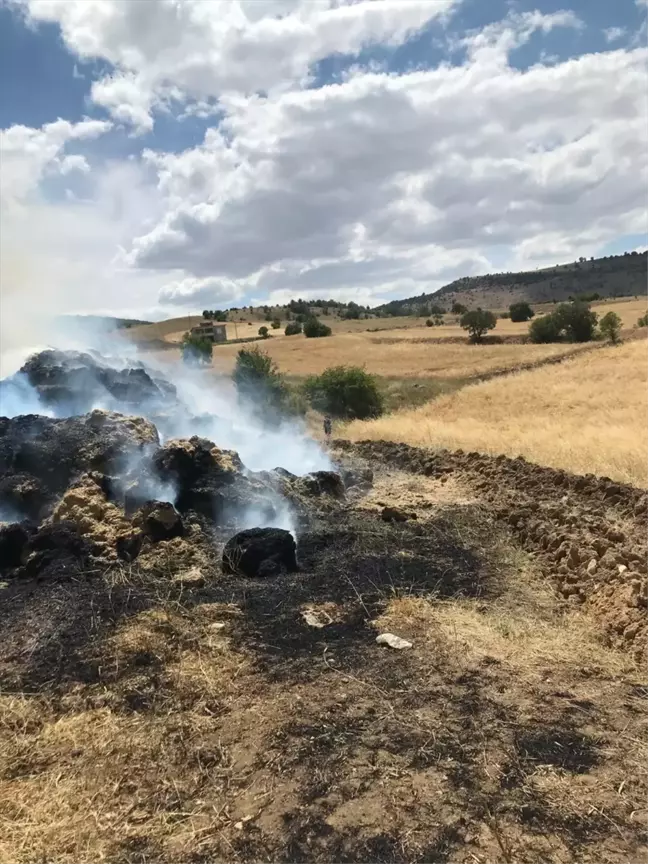 Tokat'ın Zile ilçesinde çıkan yangında 400 saman balyası yandı