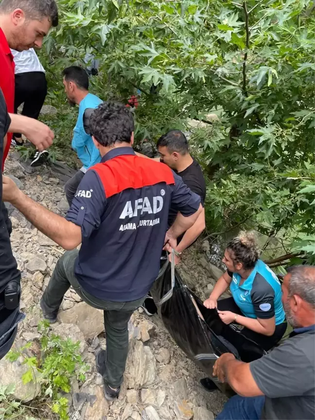 Bitlis'te Dereye Giren Genç Boğuldu