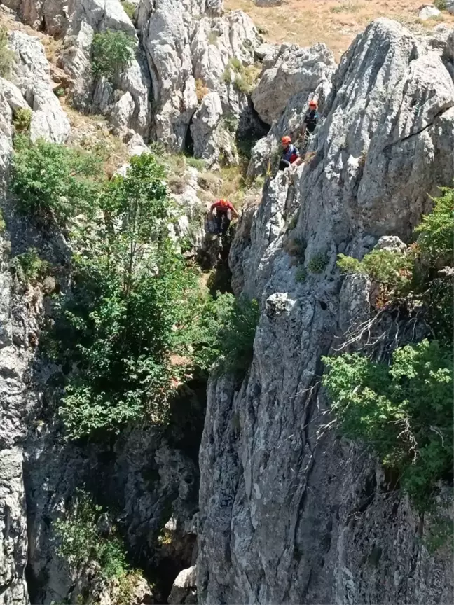 Konya'da mahsur kalan keçi sahibine teslim edildi