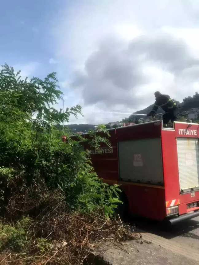 Zonguldak'ta Ormanlık Alanda Yangın Çıktı