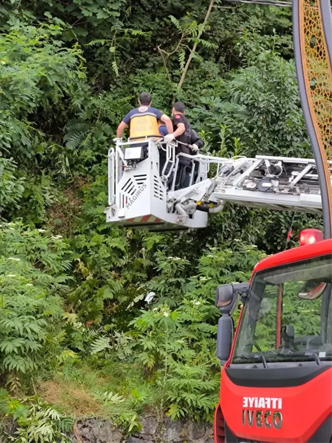 Rize'de Kayıp Yaşlı Adamın Cesedi Bulundu