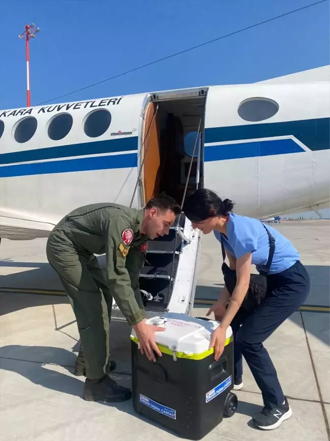 Milli Savunma Bakanlığı, İstanbul'dan alınan akciğer greftini İzmir'e ulaştırdı