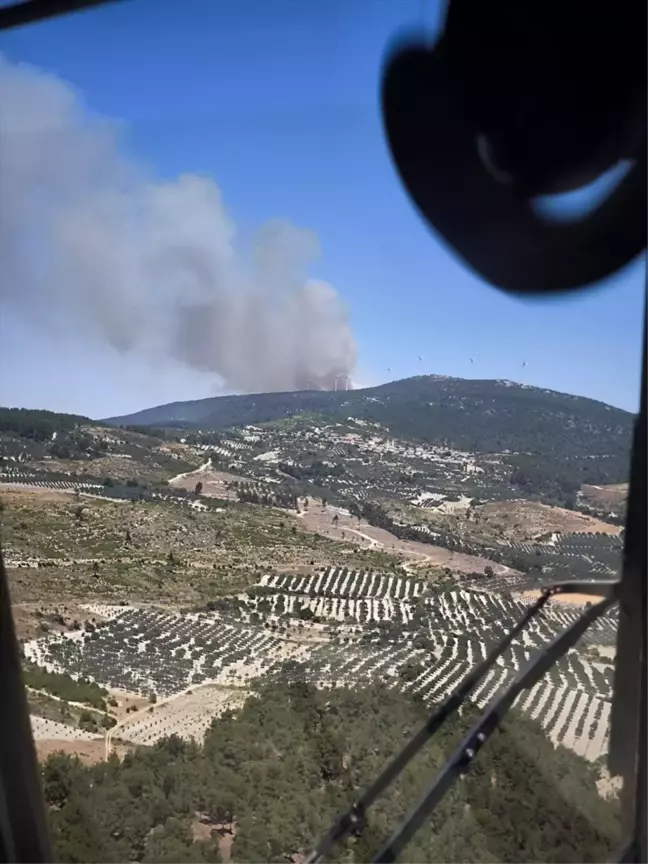 Manisa'da ormanlık alanda çıkan yangına müdahale başladı