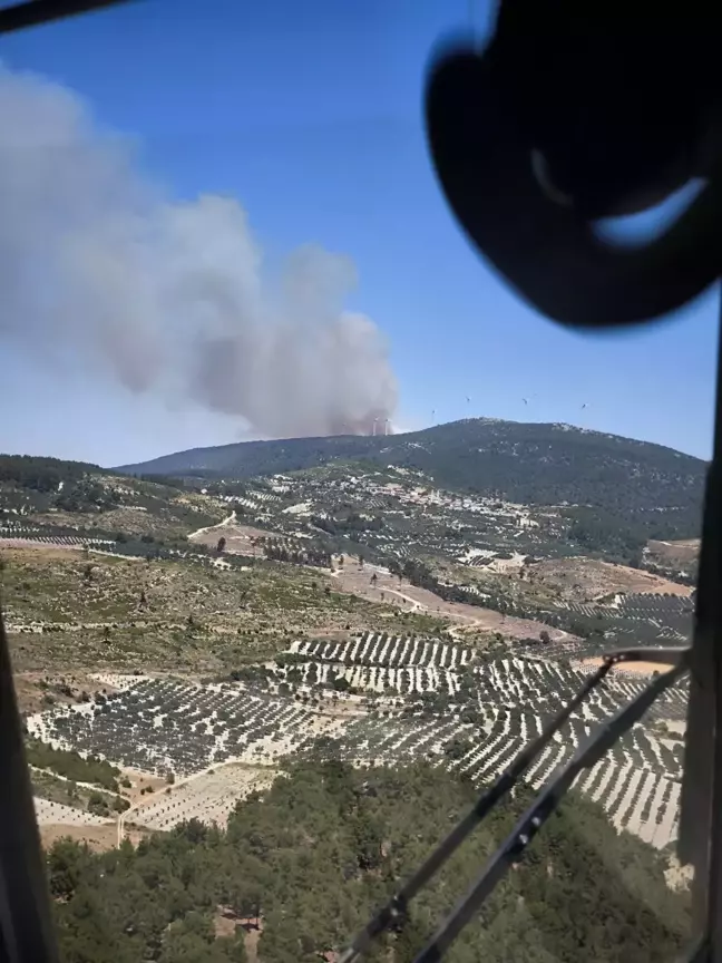 Soma'da Orman Yangını: Havadan ve Karadan Müdahale Ediliyor