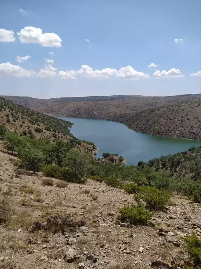 Kırıkkale'de Karaahmetli köyünde sürek avı düzenlendi