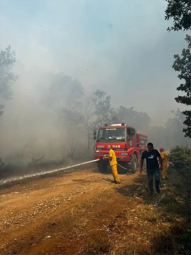 Balıkesir Kepsut'ta Orman Yangını