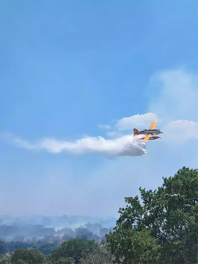 Çanakkale'de zeytinlik alanda çıkan yangına müdahale