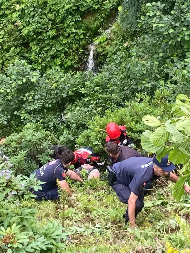 Trabzon'da trafik kazası: 2 kişi yaralandı