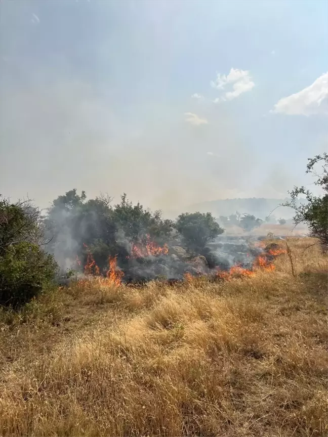 Afyonkarahisar Şuhut'ta Dağlık Alanda Yangın Çıktı