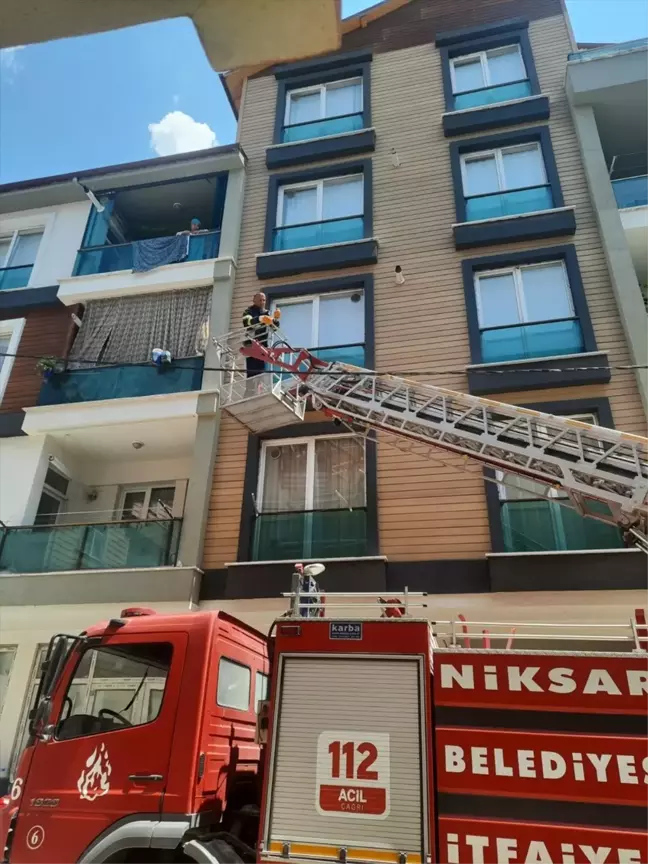 Tokat'ta Pencereye Sıkışan Kumru Yavrusu Kurtarıldı