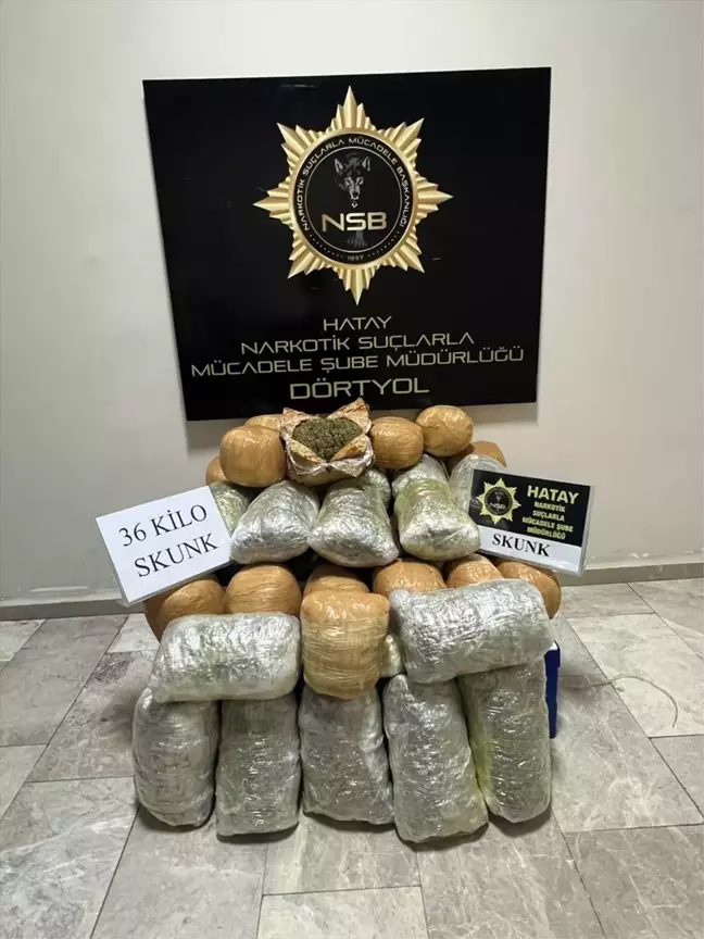 Erzin'de akaryakıt tankerinde 36 kilogram skunk ele geçirildi