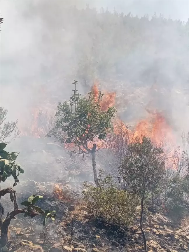 Silifke'de çıkan yangın havadan ve karadan müdahaleyle söndürüldü