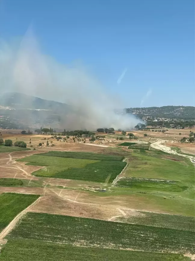 Muğla'da çıkan orman yangınına müdahale devam ediyor