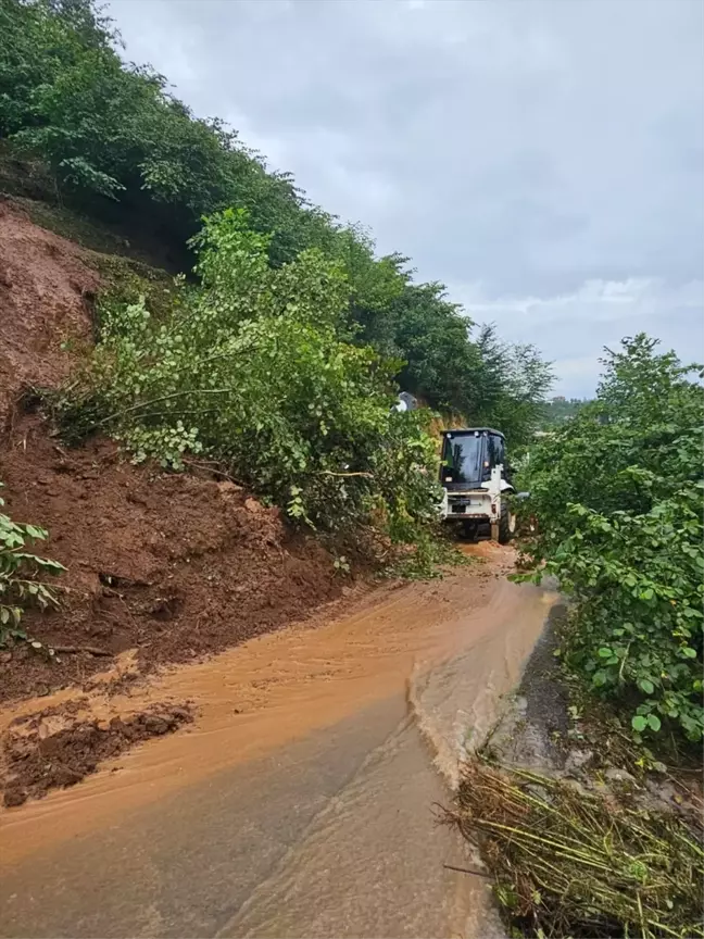 Trabzon'da sağanak yağış sonucu su taşkını ve heyelanlar meydana geldi