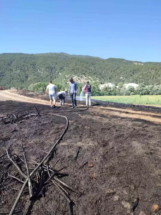 Bolu'da kuru otların bulunduğu arazide çıkan yangın söndürüldü