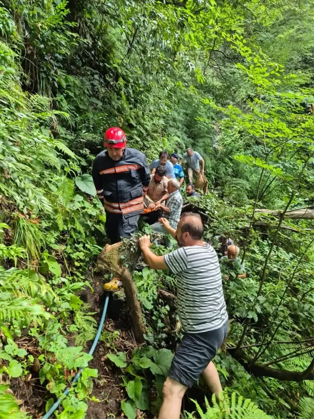 Trabzon'da uçuruma düşen kadın itfaiye ekiplerince kurtarıldı