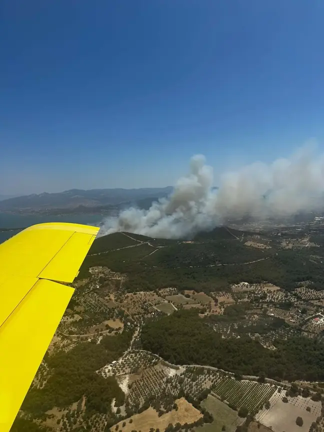 Urla'da Orman Yangını: 2 Site Tahliye Edildi