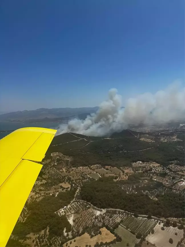 İzmir Urla'da çıkan orman yangınına müdahale ediliyor