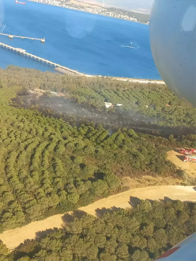 İzmir Aliağa'da Orman Yangını: Havadan ve Karadan Müdahale Devam Ediyor