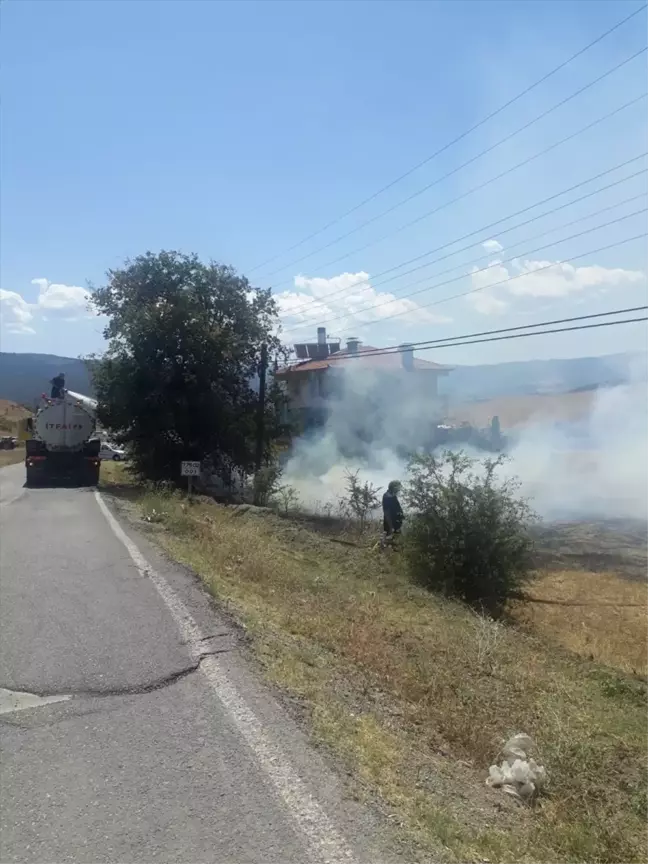 Tosya'da çıkan yangında 2 dekar tarım arazisi zarar gördü