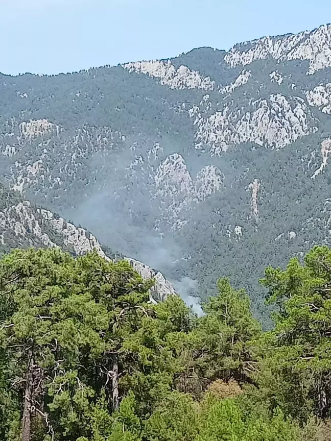 Kemer'de Orman Yangını Çıktı