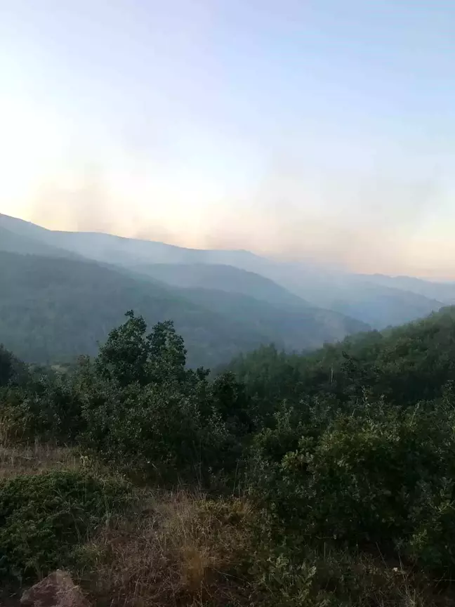 Sivas'ta Orman Yangınında Dozer Operatörü Hayatını Kaybetti