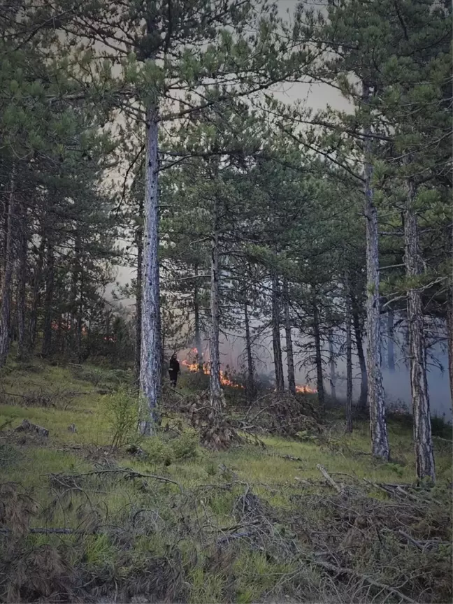 Bolu'nun Mudurnu ilçesinde çıkan örtü yangını söndürüldü