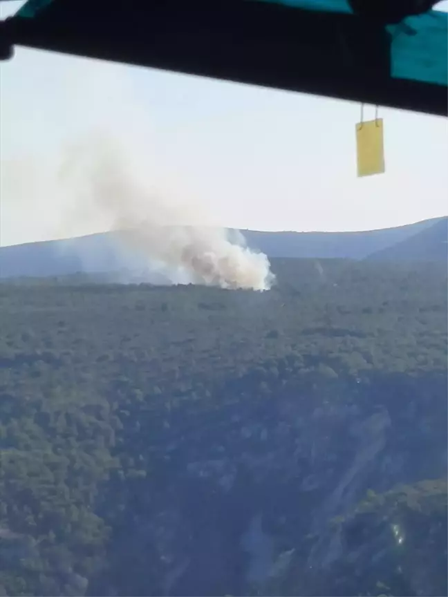 İzmir Urla'da Ormanlık Alanda Çıkan Yangın Kontrol Altına Alındı