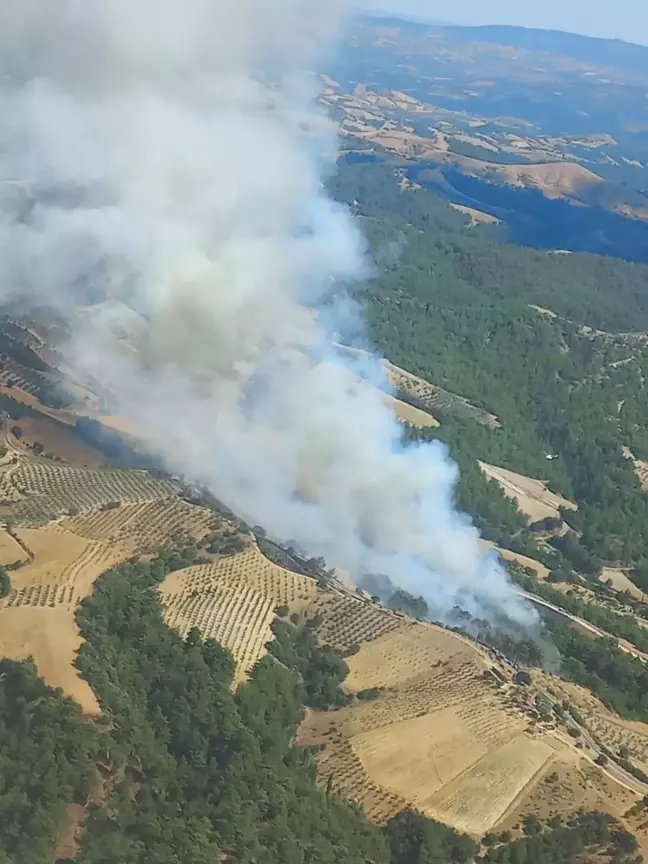 Manisa Gördes'te Orman Yangını