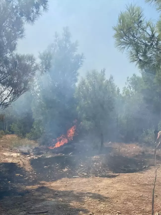 Silifke'de 4 Ayrı Noktada Çıkan Orman Yangınları Söndürüldü