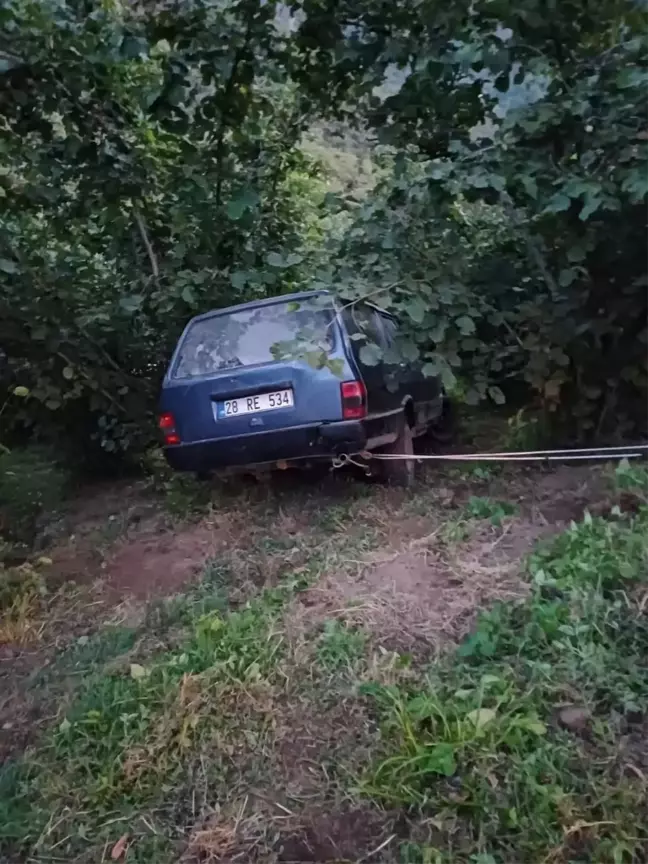 Görele'de Otomobil Fındık Bahçesine Yuvarlandı: 1 Ölü