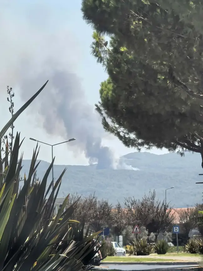 Muğla Ula'da Orman Yangını Çıktı