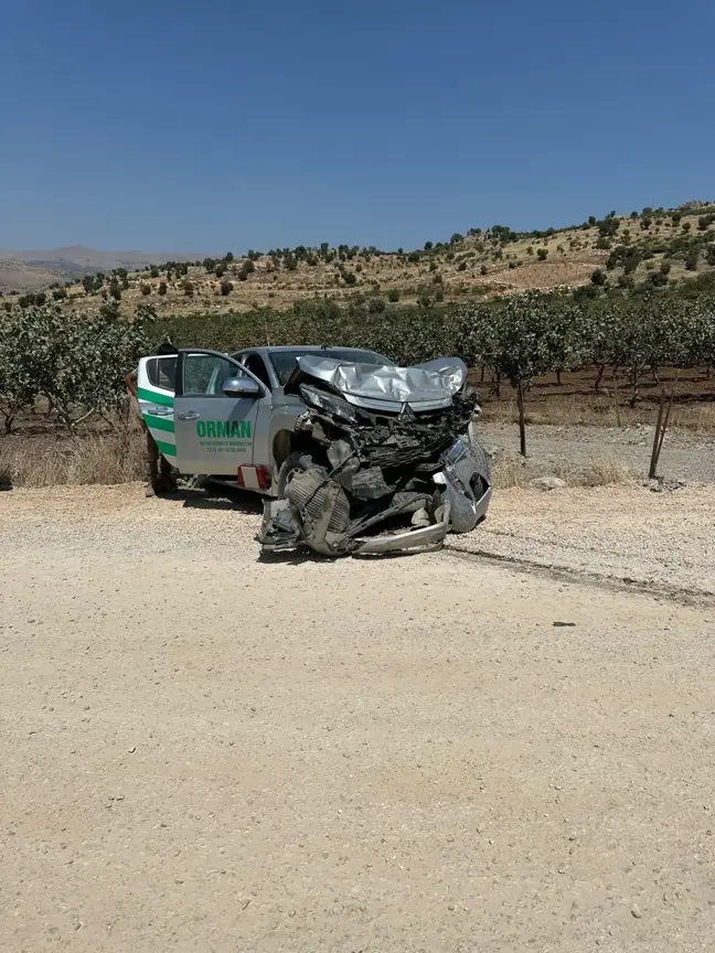 Siirt'te kamyonet ile kamyonun çarpıştığı kazada 4 kişi yaralandı