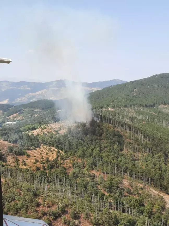 Aydın Kuyucak'ta Orman Yangını