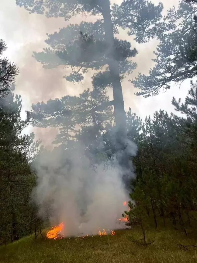 Kastamonu'da Yıldırım Sonucu Çıkan Orman Yangını Köylüler Tarafından Söndürüldü