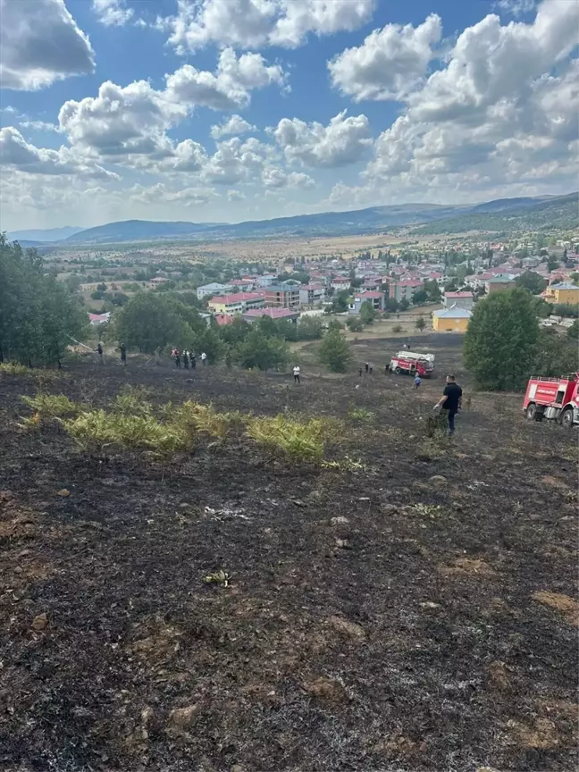 Tokat'ın Reşadiye ilçesinde ot yangını: 2 dönüm alan zarar gördü