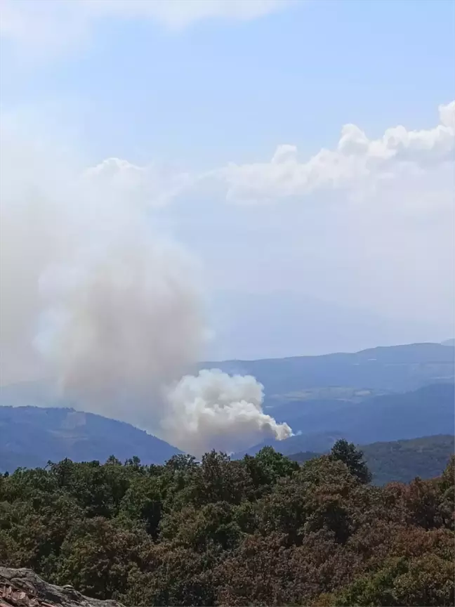 İznik'te Orman Yangını Söndürme Çalışmaları Başlatıldı