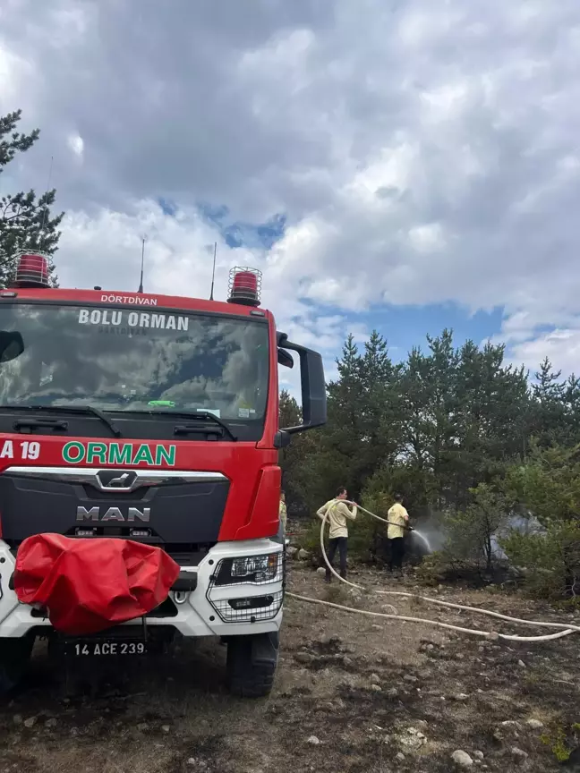 Bolu'da Yaylada Orman Yangını Kontrol Altına Alındı