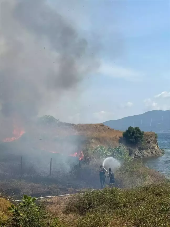 Erdek'te çıkan yangın itfaiye ve vatandaşlar tarafından söndürüldü