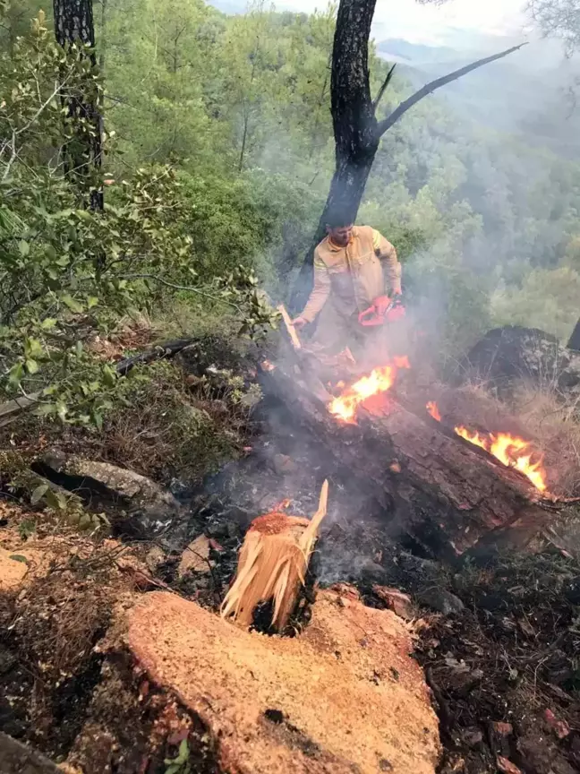 Muğla'da Yıldırım Yangınları Artıyor