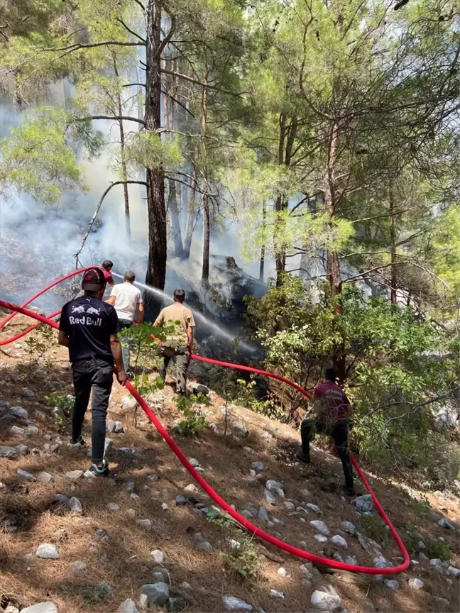 Antalya'da yıldırım düşmesi sonucu orman yangını çıktı