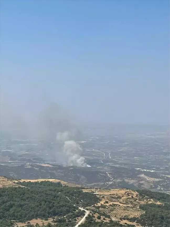 Menemen'de Ormanlık Alanda Yangın Çıktı