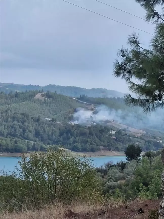 Adana'da Ormanlık Alanda Çıkan Yangın Kontrol Altına Alındı